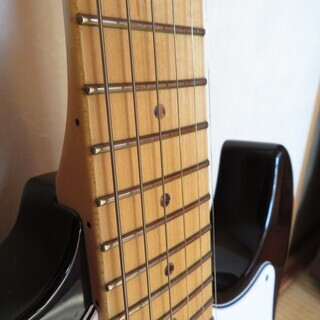 フジゲン・EXPERT・OS、ﾗｲﾄｳｴｲﾄｱｯｼｭ・シースルーブラック