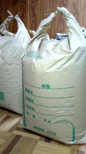 専用ページ☆新米　令和元年収穫　玄米　ひのひかり