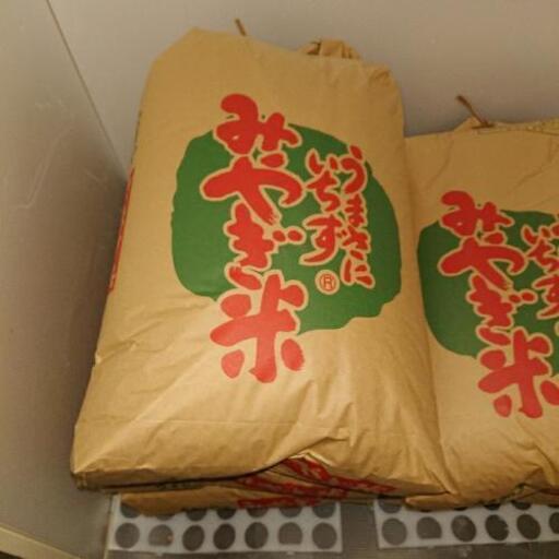 令和元年宮城県産コシヒカリです