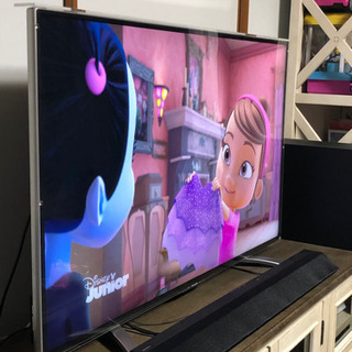 4K50型TV 保護パネル スピーカーset