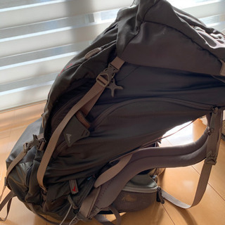 グレゴリー　バルトロ65