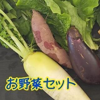 美味しくお野菜セット【よねベジ】