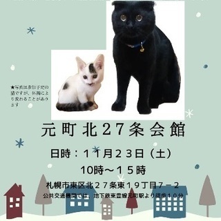 保護猫の譲渡会  札幌東区