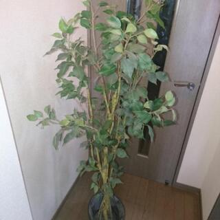 フェイクグリーン 観葉植物