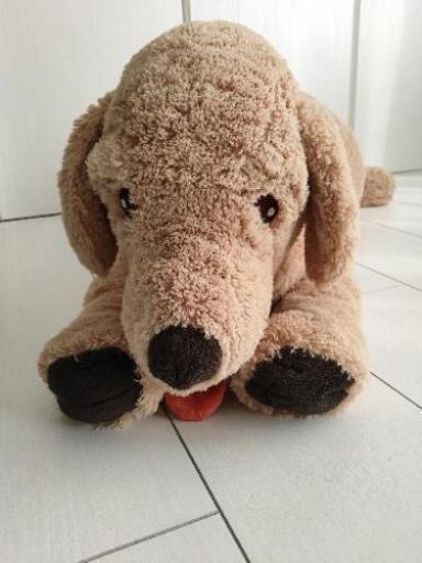 Ikea 犬のぬいぐるみ ビッグサイズ 取引中 すぎ 栂 美木多のおもちゃ ぬいぐるみ の中古あげます 譲ります ジモティーで不用品の処分 Ikea 犬のぬいぐるみ ビッグサイズ 取引中 すぎ 栂 美木多のおもちゃ ぬいぐるみ の中古あげます 譲ります ジモティーで不用品の処分