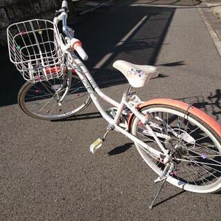 子供用自転車 22インチ ブリヂストン ワイルドベリー