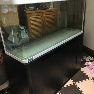 120水槽セット  今日か明日引き取りの方