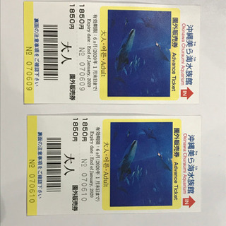 中古沖縄美ら海水族館が無料 格安で買える ジモティー