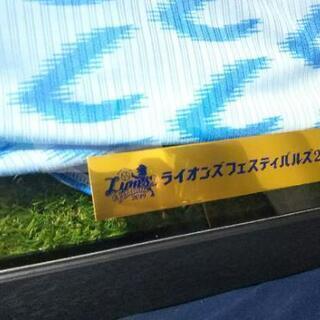 人工芝ユニフォーム額縁

