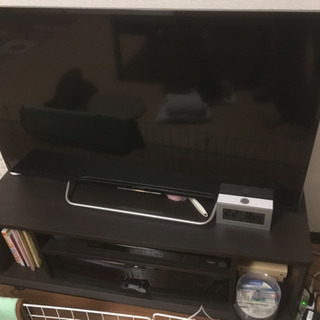 水草、アヌビアス・ナナ バリエガータ斑入り『現物1株』 - その他 