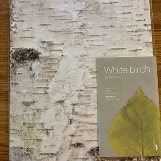 woodpecker white birch ノート