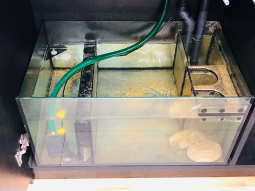 特価！！！Red Sea！！水槽！！W1200×D500×H1400 程度良好！！