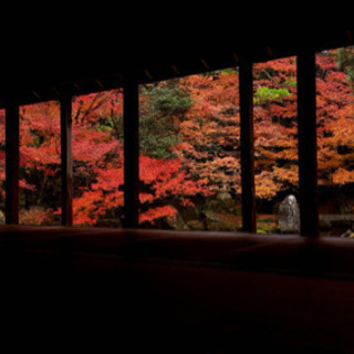 11/24そうだ、スタバ飲みながら京都の紅葉を見に行こう🍁✨ - 京都市