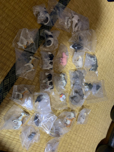 専用【SEEK】 発熱保温襟ぐり広めUネックロングスリーブL 5枚ブラック