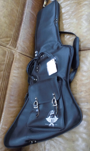 ギグバック エクスプローラータイプ GigBag SZ-EX エクスプローラータイプ用 ギターケース 幅：５５ｃｍ 苫小牧西店