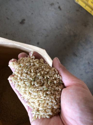 新米あきたこまち30キロ 限定一人