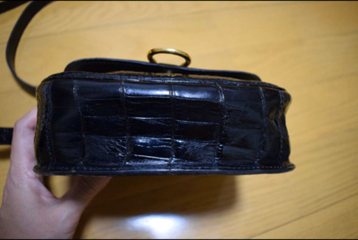 LOUIS VUITTON(ルイヴィトン)ショルダーバッグ エキゾチックレザー