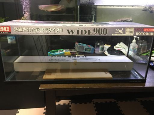90ワイド水槽 新品