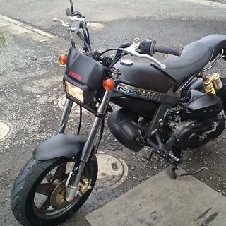 ストリートマジックⅡ 50 希少｜バイク車体