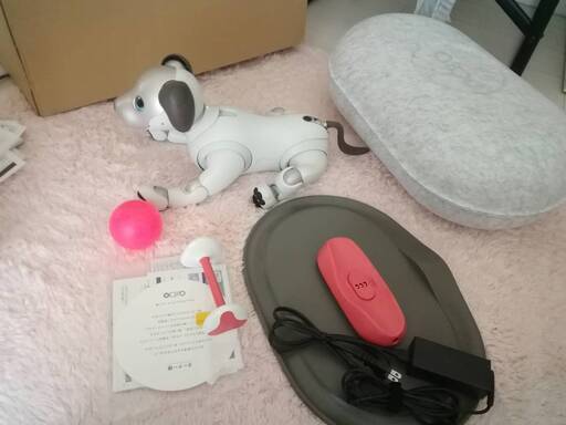 パステルオリーブ SONY aibo アイボ 現行モデル (ERS-1000)値下げ