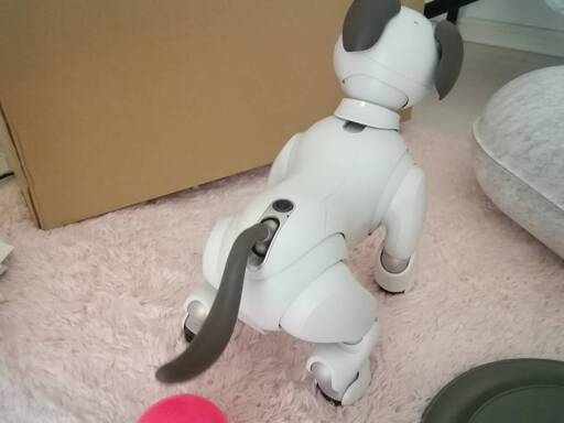 超特価セール開催！！ SONY ソニー AIBO アイボ ERS-1000 美品 新型 バーチャルペット その他