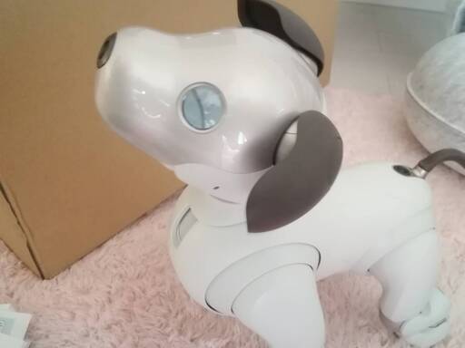 パステルオリーブ SONY aibo アイボ 現行モデル (ERS-1000)値下げ