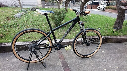 高級パーツ多数！ガレージ保管 SANTACRUZ chameleon 26インチ