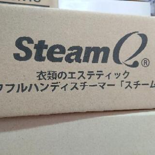 未使用 スチームQ パワフル ハンディスチーマー