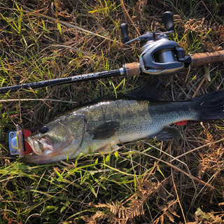 釣り仲間募集！！の画像