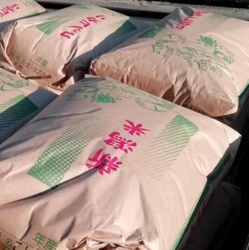 在庫処分　特別栽培米　令和2年度産コシヒカリ　玄米、白米　30kg袋