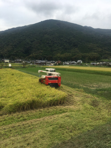 白川米　新米30kg 元気つくし　玄米