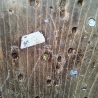 MAX 常圧コイルネイラ CN-450S 高く買取るゾウ中間店