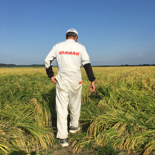 令和元年☆特殊農法☆ササニシキ☆