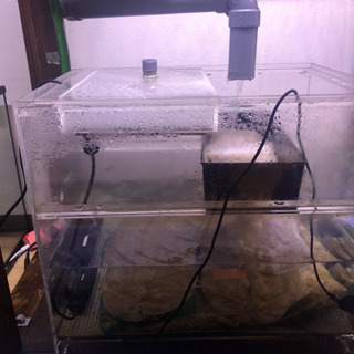 90×60×60オーバーフロー水槽