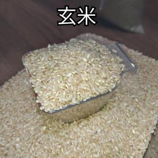 新米『ひのひかり』60kg② 【公式通販】