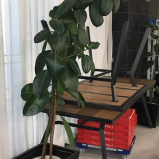 ダイニングテーブル テーブル 