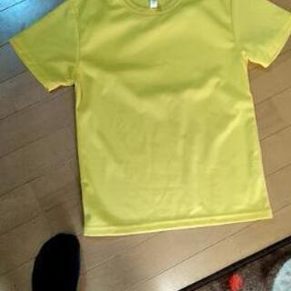 黄色のポリエステルTシャツ　150センチ