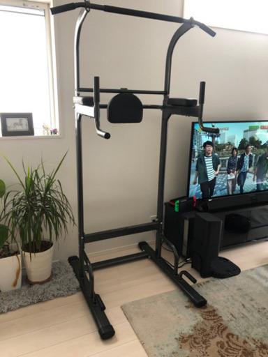 懸垂 ぶら下がり健康器