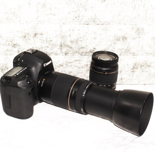 ☆高画質2230万画素☆キヤノン 5D マーク3 超望遠300mm ダブルズーム