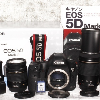 ☆高画質2230万画素☆キヤノン 5D マーク3 超望遠300mm ダブルズーム