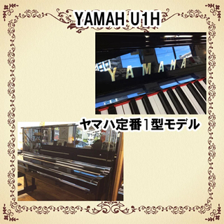 展示中　リフレッシュ済み中古　ヤマハU1H 迷ったらこれ！