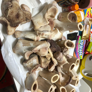 アクセサリー 牛骨 色々