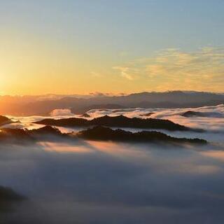 『奈良県の野迫川村に雲海を見に行きませんか☁』