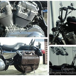 交換可 ハーレーダビットソン スポーツスター 883 インジェクション