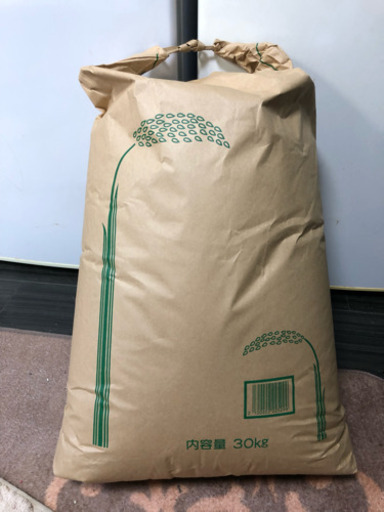 コシヒカリ 玄米30kg 令和元年産
