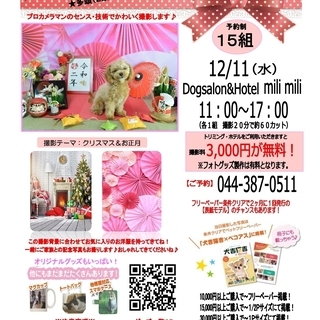 【Dogsalon&Hotel mili mili】12/11（...