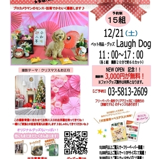【ペット用品・グッズLaugh Dog】12/21（土）ペット撮影会「Photojoy!関東」開催！の画像