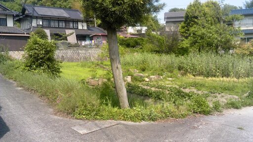 農地　350坪　ゆずります。