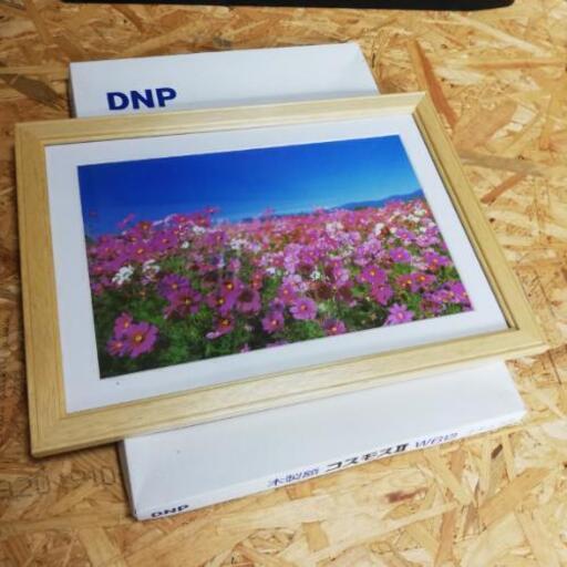 六つ切り額2つセット きりまるカメラ 竹中の家具の中古あげます 譲ります ジモティーで不用品の処分