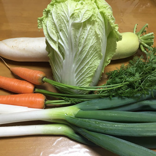 鍋野菜セット  (無農薬野菜4種類)